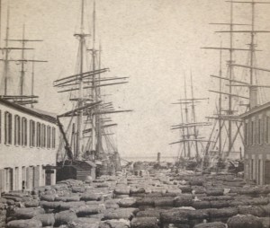 Cotton waiting to be loaded at Adgers Wharf, Late 1800’s. 